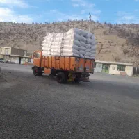 کاه گندم سفید دیم دان ریز سفید خورا تحویلی|حیوانات مزرعه|ایلام, |دیوار