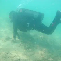 کلیه خدمات غواصی صنعتی تفریحی