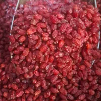 فروش رب و زعفران و زرشک با کیفیت و تازه