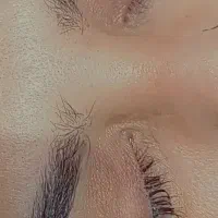 مژه کار