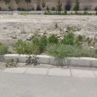زمین فروشی