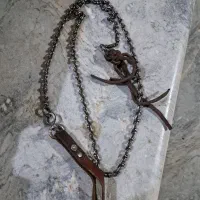 شلاق اسب