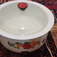 آرام پزپارس نپتون برقی