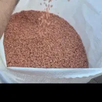 گندم.|خدمات باغبانی و درختکاری|اندیمشک, |دیوار