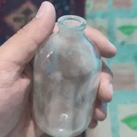 گلدان|گل و گیاه طبیعی|بم, |دیوار