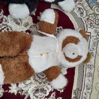 تعدادی عروسک تمیز