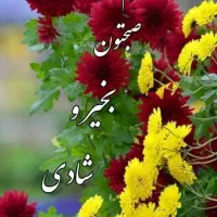 خدمتگذار مدرسه