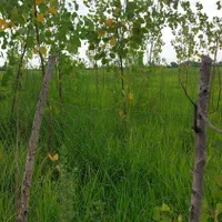 ۲۳۲متر زمین خرید کنید فقط ۲۸۸میلیون ۳کیلومتر دریا