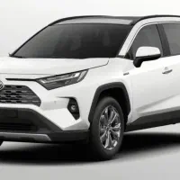 راوفور ۲۰۲۵ چین لو اپشن