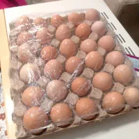 تخم مرغ محلی تازه