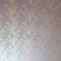 نقاش ساختمان و درب او پنجره قیمت مناسب|خدمات پیشه و مهارت|جاسک, |دیوار