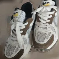 کفش|کیف، کفش، کمربند|نیشابور, شهرک ولیعصر|دیوار