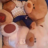 دوتا خرس خارجی پولیشی|اسباببازی بچه|تهران, درب دوم|دیوار