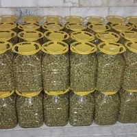 فروش عمده زیتون با پایین ترین قیمت