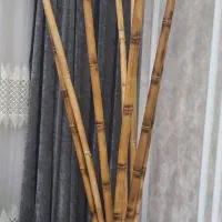 گلدان همراه با چوب بامبو|صنایع دستی و سایر لوازم تزئینی|بندرعباس, |دیوار