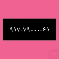 ۹۱۷-۷۹-۰۰۰-۶۱