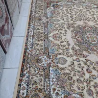 9متری بهشت 1200شانه|فرش|پاکدشت, پاکدشت (مامازند)|دیوار