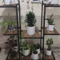 استند و شلف گل و طراحی رگال ویژه نوروز ۰۵