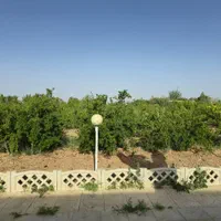 باغ ویلا|فروش خانه و ویلا|قم, ارم|دیوار