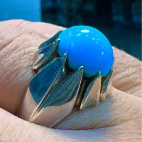 فیروزه نیشابوری کلکسیونی