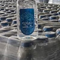 فروشنده پروتئینی