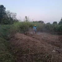 علف و چمن زنی ،سمپاشی ، چاله کنی با دستگاه|خدمات باغبانی و درختکاری|رشت, فرزانه|دیوار