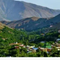 ۲۲۰متر زمین در برگ جهان