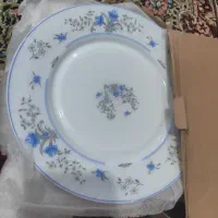 سرویس آرکوپال ایرانی نو