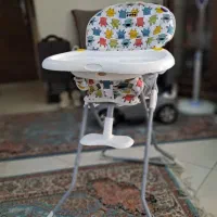 صندلی غذای دلیجان