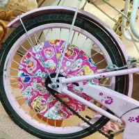 دوچرخه سایز ۲۰دخترانه درحد نونونو بسیار خوشرنگ|دوچرخه، اسکیت، اسکوتر|رباط‌کریم, منجیل آباد|دیوار