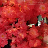 درختچه گل تزیینی|گل مصنوعی|بهارستان, |دیوار