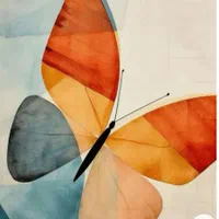 طراح حرفه ای سایت وردپرسی