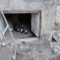 سیاه رسمی وگلی رسمی