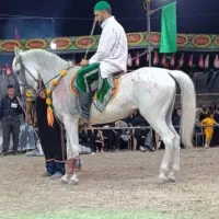 مادیون کرد ۱۳ ساله به شرط سواری درجه یک