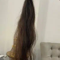 فروش مو طبیعی سرچیده شده نصب مو رایگان در شهر نور|خدمات آرایشگری و زیبایی|نور, |دیوار