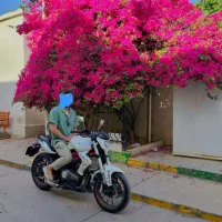 بنلی زونتس cf mt بلنتا ns