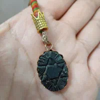 هبهاب آفریقایی خطی