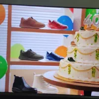 تلویزیون ۴۹ اینچ اسنوا