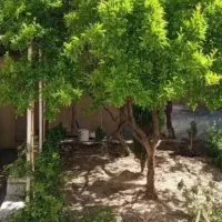 رهن و اجاره خانه ۱۵۰ متر دربستی دارای حیاط