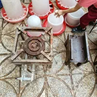 لوازم مرغ فروشی|فروشگاه و مغازه|کوهدشت, |دیوار