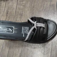 کفش شیک|کیف، کفش، کمربند|سوسنگرد, |دیوار