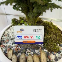 سیمکارت ۹۱۲  کد یک 0912.178.70.95