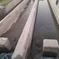 اجاره پرورش ماهی قزل الا بودلا|اجارهٔ دفتر صنعتی، کشاورزی، تجاری|چنگ الماسی, |دیوار