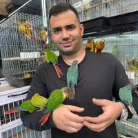 دریای گرینچیک گیرینچیک چلوندنی سخنگو
