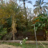 اجاره واحد ۵۰ متری کمربندی مهداب