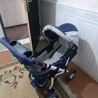 کالسکه در شیبان