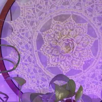 ماندالا بافی