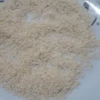 برنج هاشمی دورود