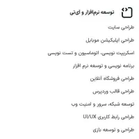 کارآموزی، برنامه نویسی و تدوین