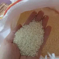 برنج هندی|خوردنی و آشامیدنی|شاهینشهر, برخوار غرب|دیوار